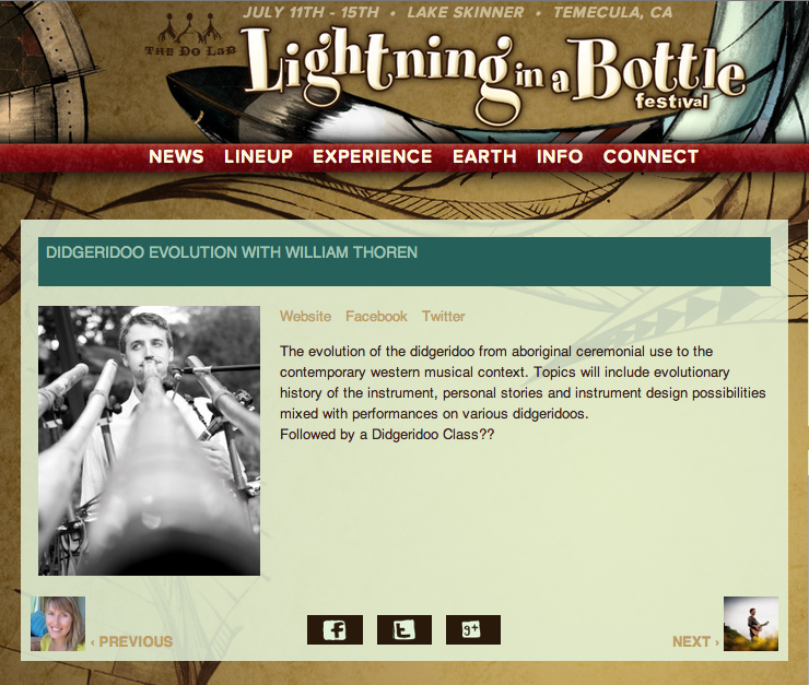 William Thoren at Lightning in a Bottle 2013